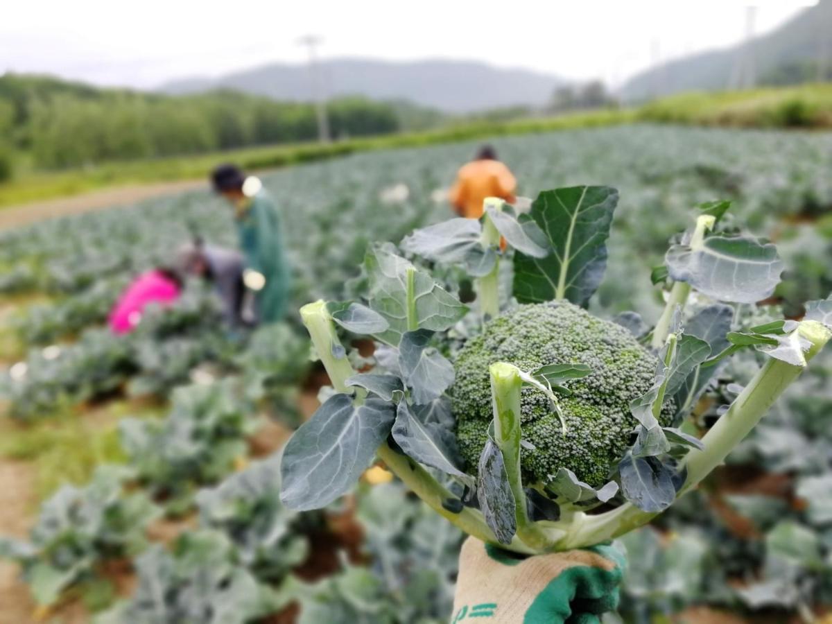 Farm stay Farm Ezura Farm