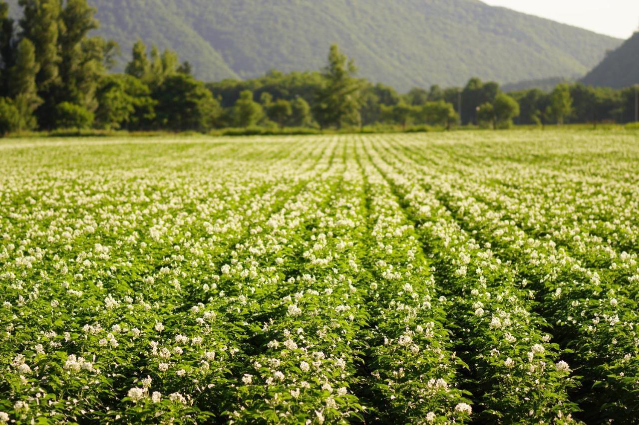 Farm Ezura Farm Farm stay Engaru